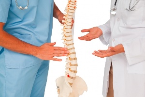 Doctors and Spine Models